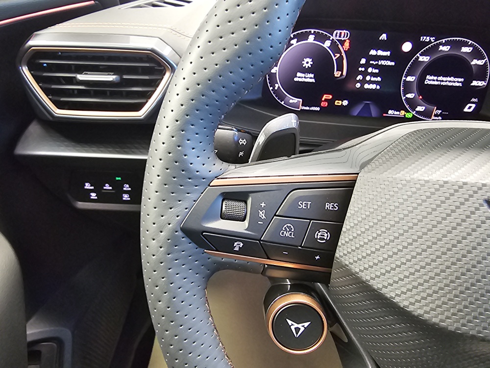 Cupra Formentor  bei Hoffmann Automobile in Wolfsburg kaufen und sofort mitnehmen - Bild 30