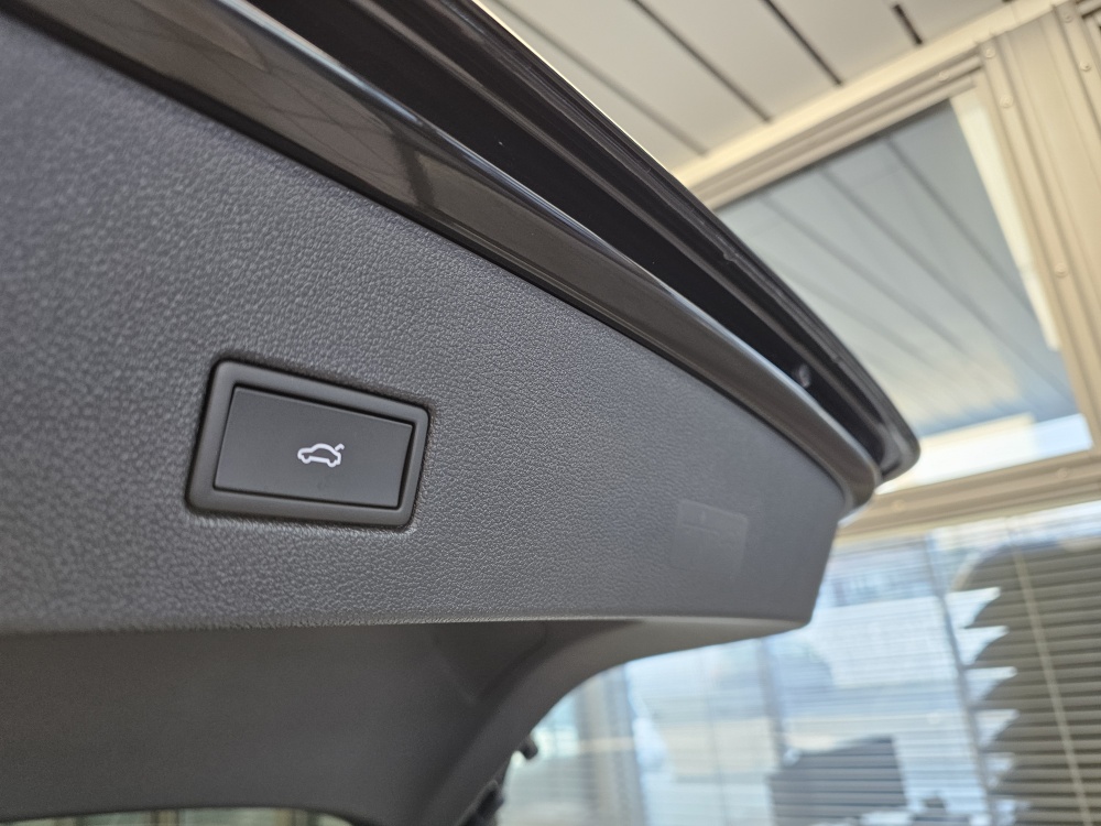 VW T-Roc  bei Hoffmann Automobile in Wolfsburg kaufen und sofort mitnehmen - Bild 3