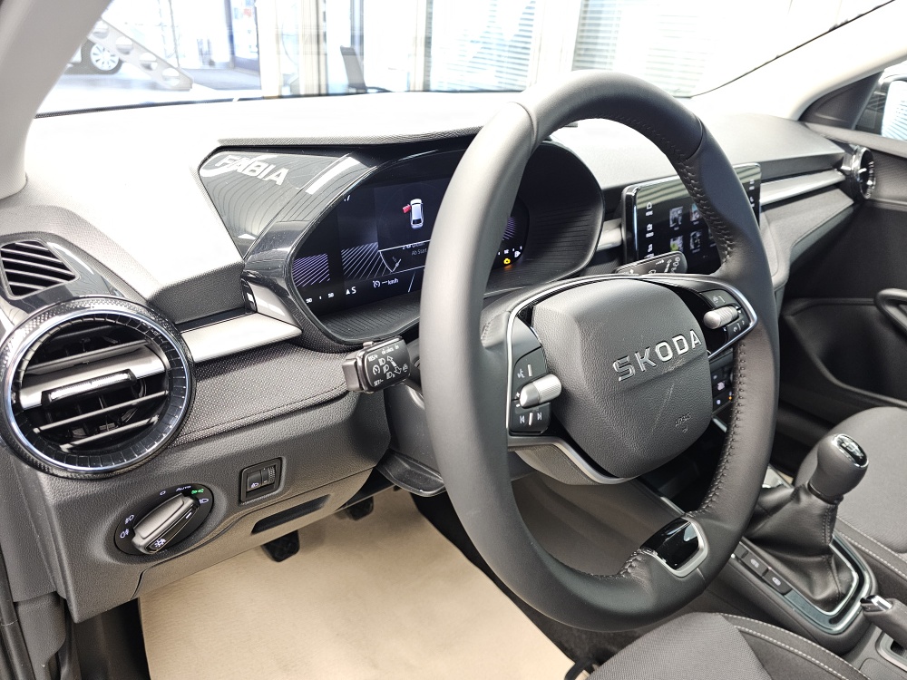 Skoda Fabia  bei Hoffmann Automobile in Wolfsburg kaufen und sofort mitnehmen - Bild 19