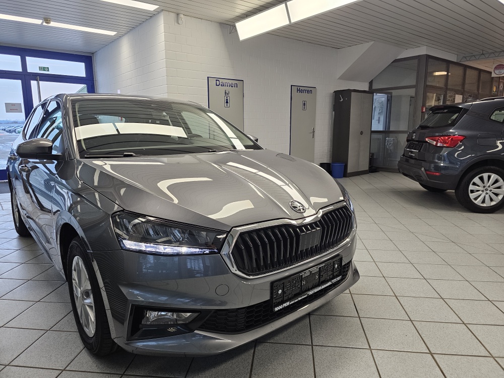 Skoda Fabia  bei Hoffmann Automobile in Wolfsburg kaufen und sofort mitnehmen - Bild 25