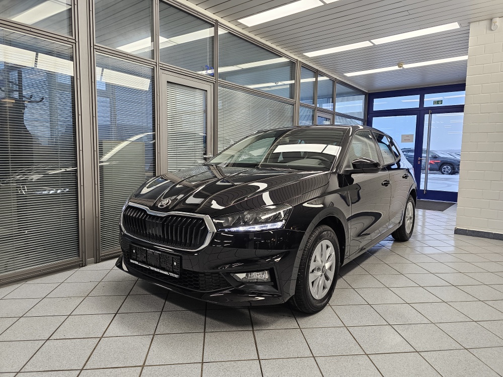 Skoda Fabia Selection für nur 19.250,- € bei Hoffmann Automobile in Wolfsburg kaufen und sofort mitnehmen