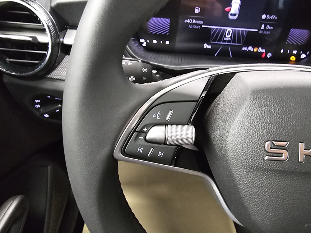 Skoda Fabia  bei Hoffmann Automobile in Wolfsburg kaufen und sofort mitnehmen - Bild 16