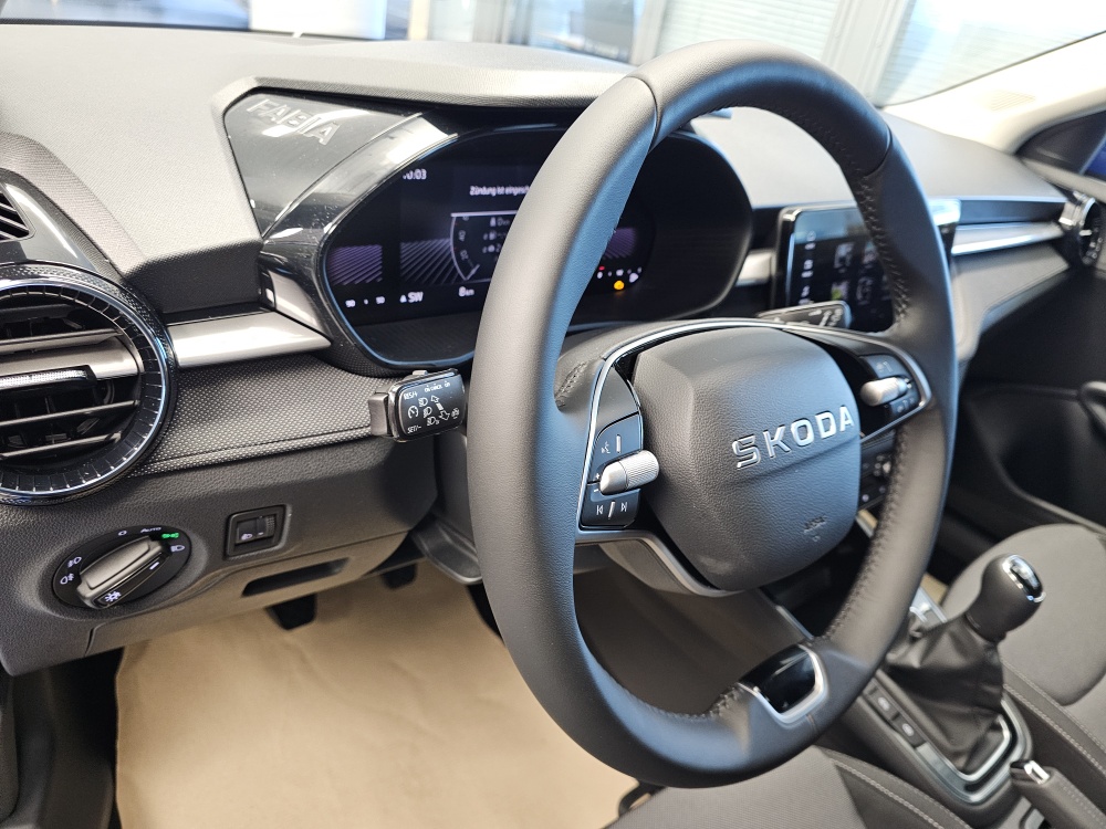 Skoda Fabia  bei Hoffmann Automobile in Wolfsburg kaufen und sofort mitnehmen - Bild 19