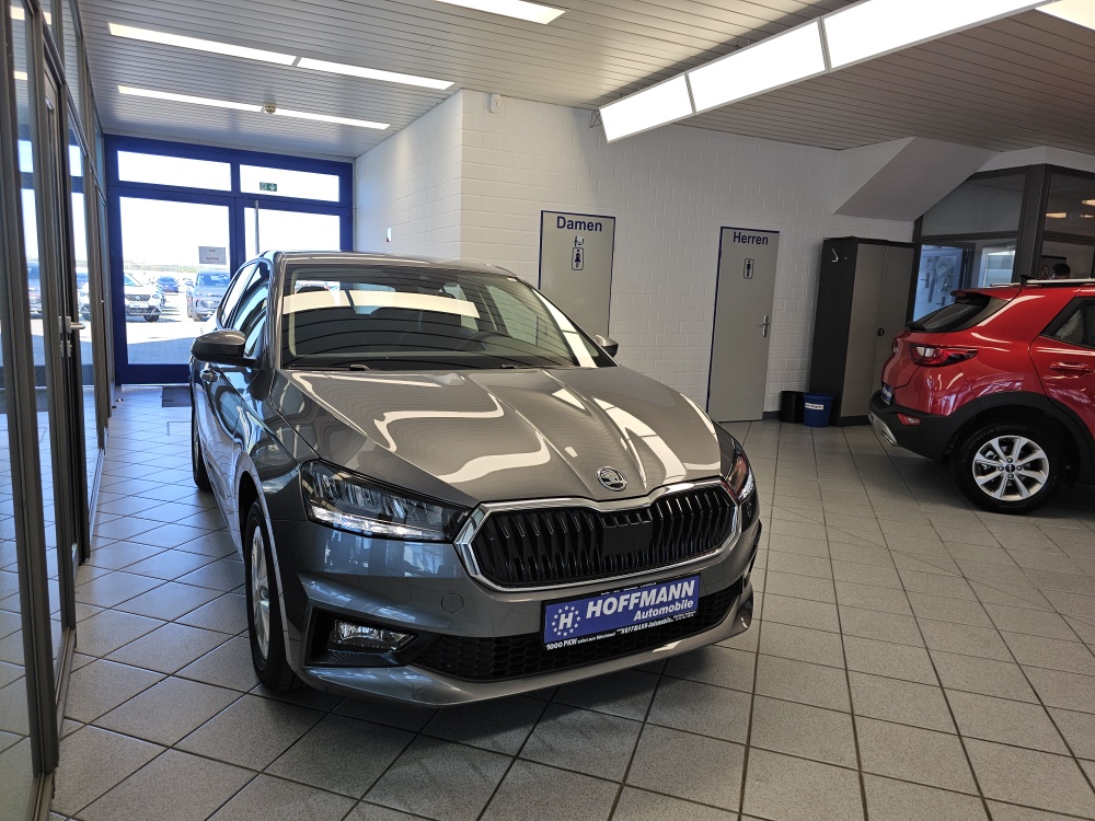 Skoda Fabia bei Hoffmann Automobile in Wolfsburg kaufen und sofort mitnehmen - Bild 25