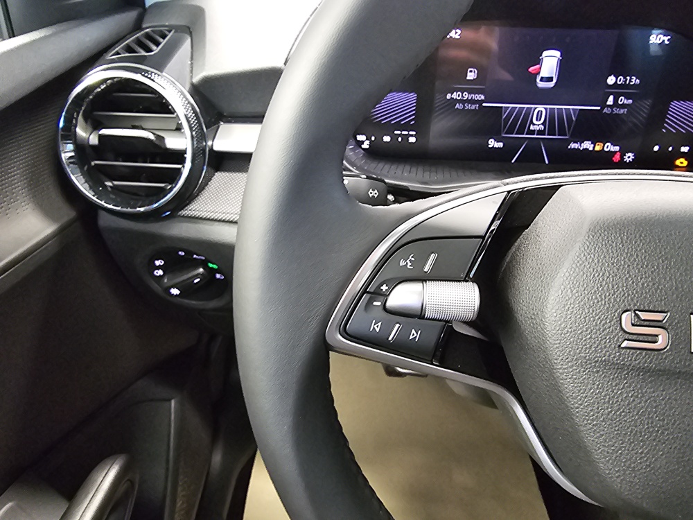 Skoda Fabia bei Hoffmann Automobile in Wolfsburg kaufen und sofort mitnehmen - Bild 16