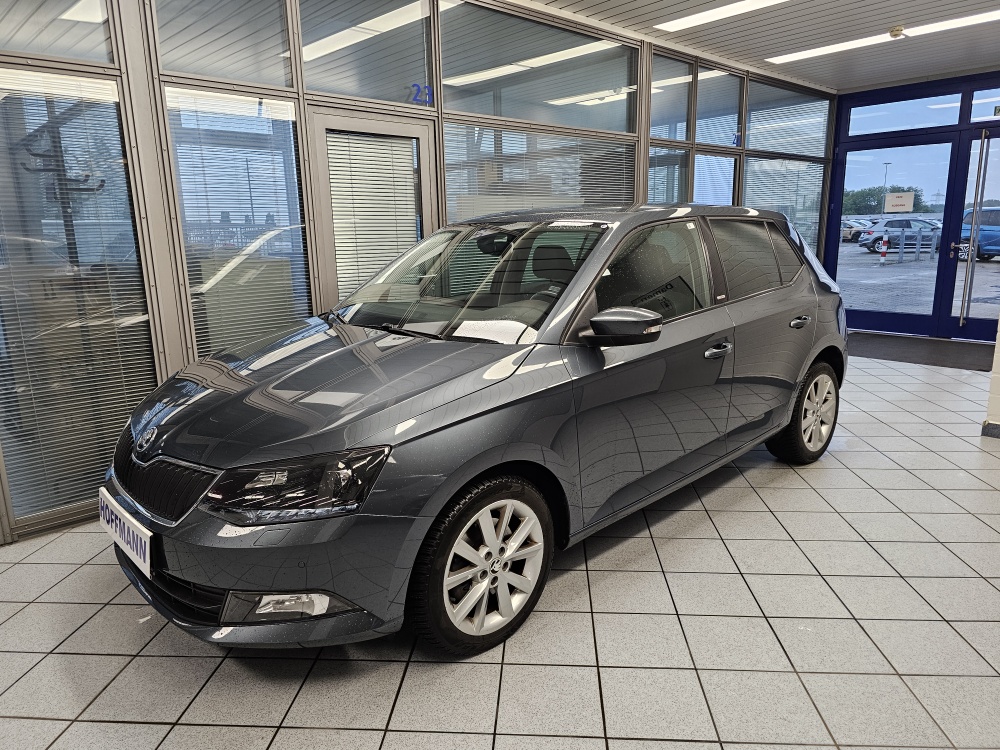 Skoda Fabia Style für nur 15.300,- € bei Hoffmann Automobile in Wolfsburg kaufen und sofort mitnehmen