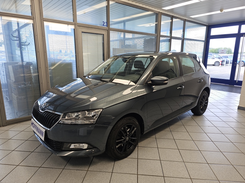 Skoda Fabia Style für nur 14.650,- € bei Hoffmann Automobile in Wolfsburg kaufen und sofort mitnehmen