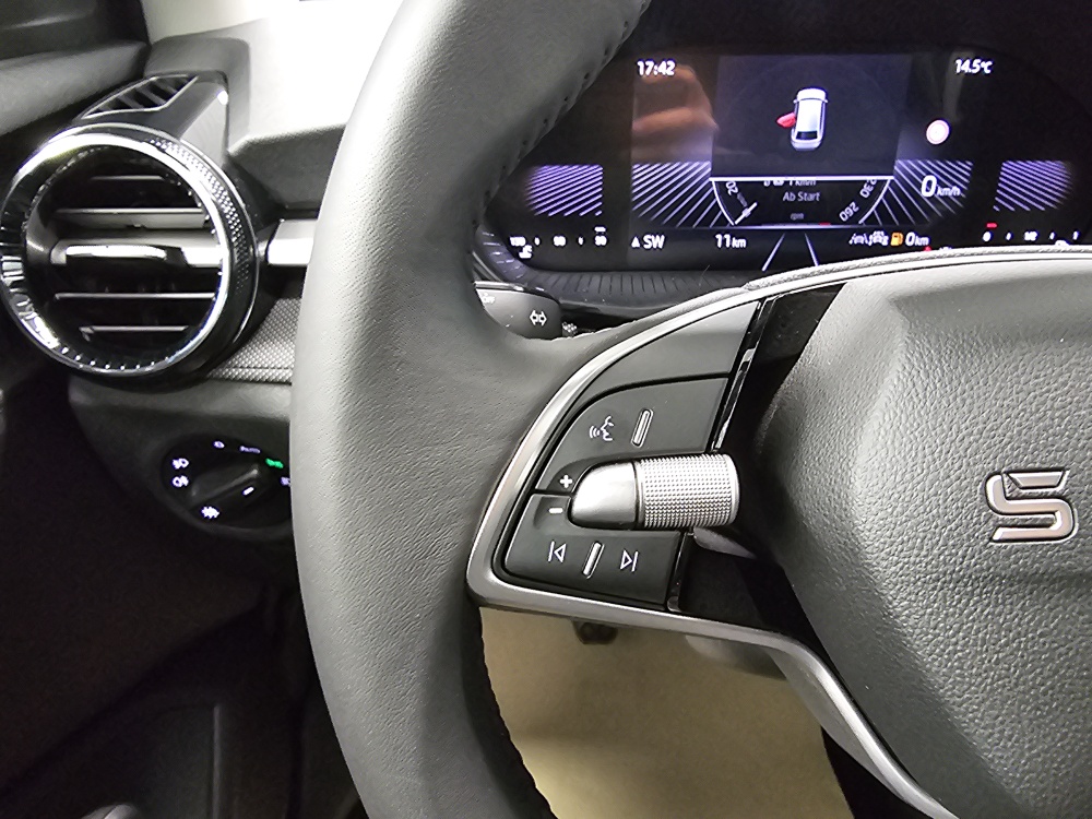 Skoda Fabia  bei Hoffmann Automobile in Wolfsburg kaufen und sofort mitnehmen - Bild 16