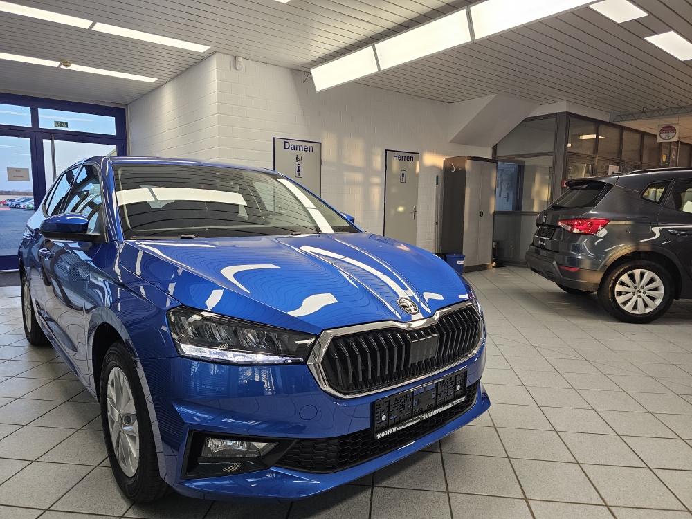 Skoda Fabia  bei Hoffmann Automobile in Wolfsburg kaufen und sofort mitnehmen - Bild 25