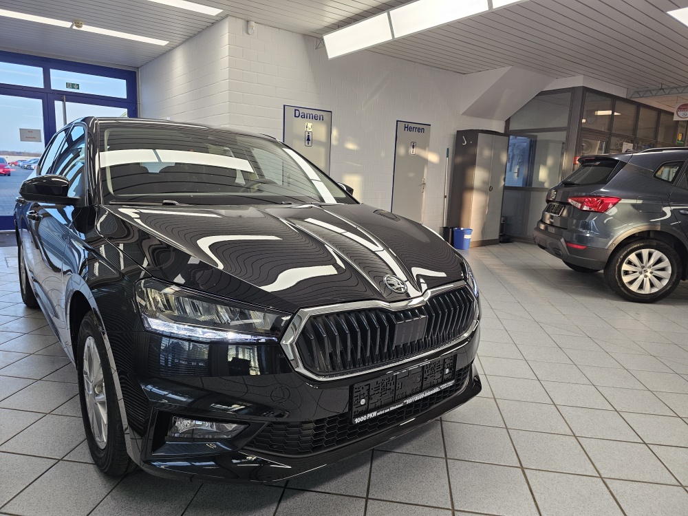 Skoda Fabia  bei Hoffmann Automobile in Wolfsburg kaufen und sofort mitnehmen - Bild 25