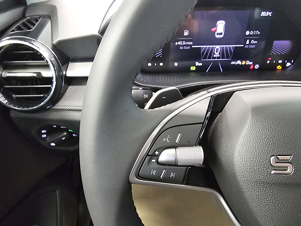 Skoda Fabia  bei Hoffmann Automobile in Wolfsburg kaufen und sofort mitnehmen - Bild 16