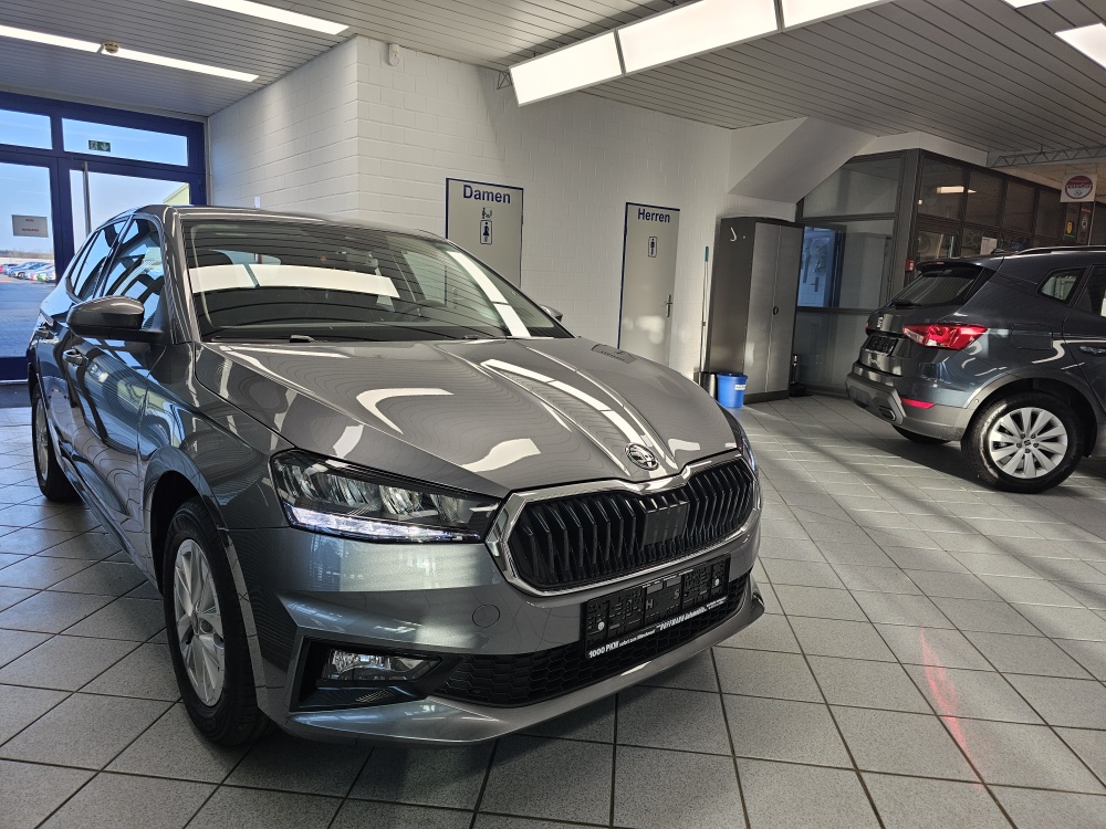 Skoda Fabia  bei Hoffmann Automobile in Wolfsburg kaufen und sofort mitnehmen - Bild 26