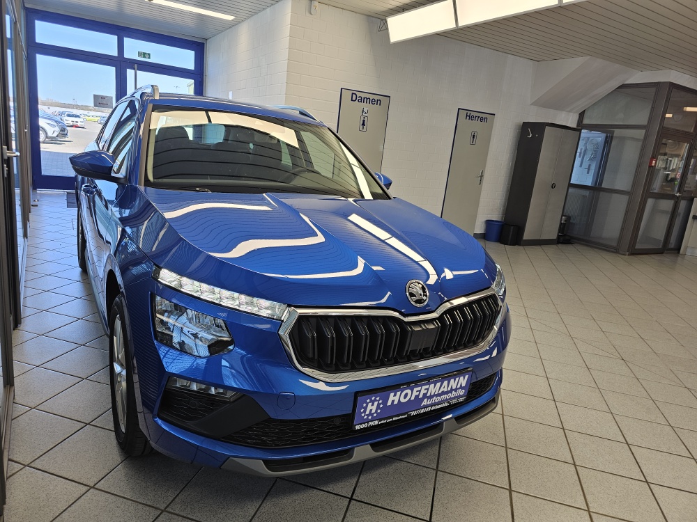 Skoda Kamiq bei Hoffmann Automobile in Wolfsburg kaufen und sofort mitnehmen - Bild 32