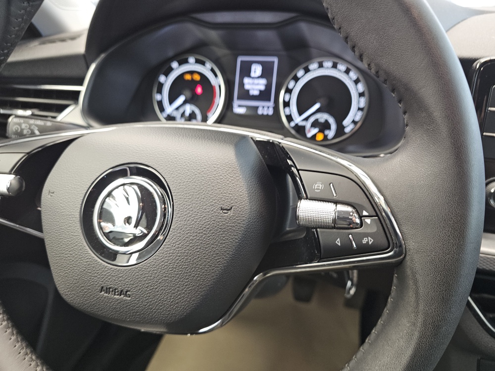 Skoda Scala  bei Hoffmann Automobile in Wolfsburg kaufen und sofort mitnehmen - Bild 11