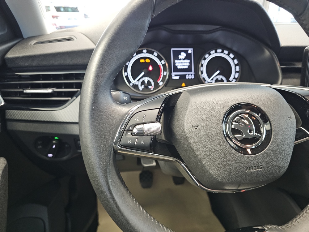 Skoda Scala  bei Hoffmann Automobile in Wolfsburg kaufen und sofort mitnehmen - Bild 12