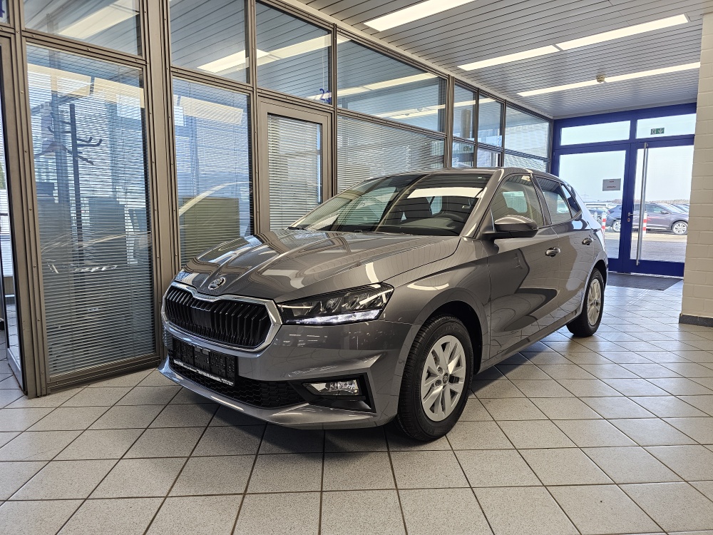 Skoda Fabia Selection für nur 18.950,- € bei Hoffmann Automobile in Wolfsburg kaufen und sofort mitnehmen
