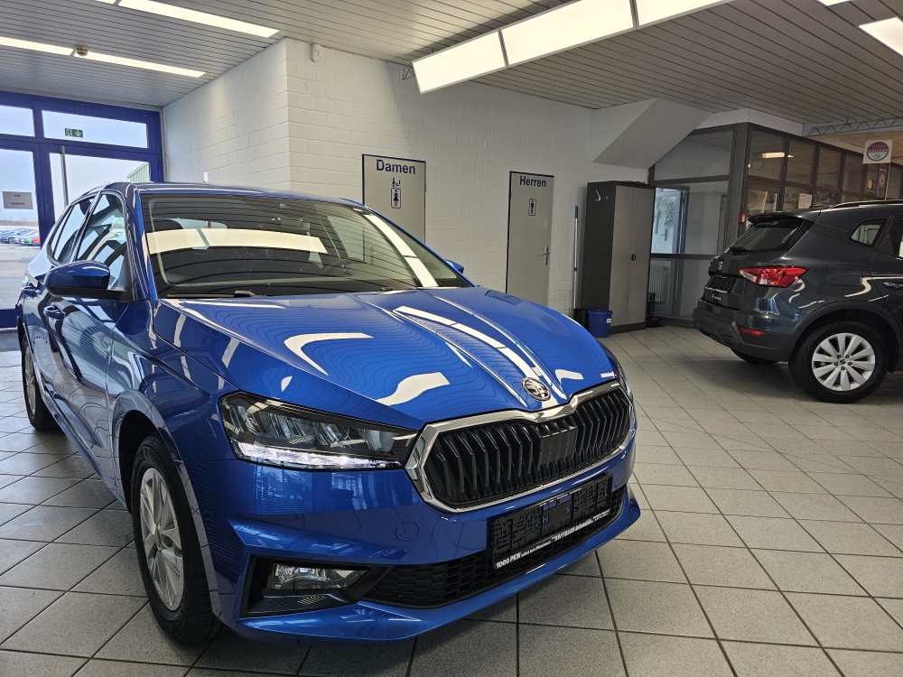 Skoda Fabia  bei Hoffmann Automobile in Wolfsburg kaufen und sofort mitnehmen - Bild 25