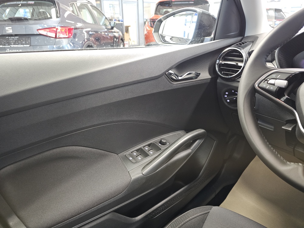 Skoda Fabia  bei Hoffmann Automobile in Wolfsburg kaufen und sofort mitnehmen - Bild 17