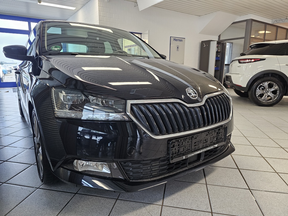 Skoda Fabia  bei Hoffmann Automobile in Wolfsburg kaufen und sofort mitnehmen - Bild 16