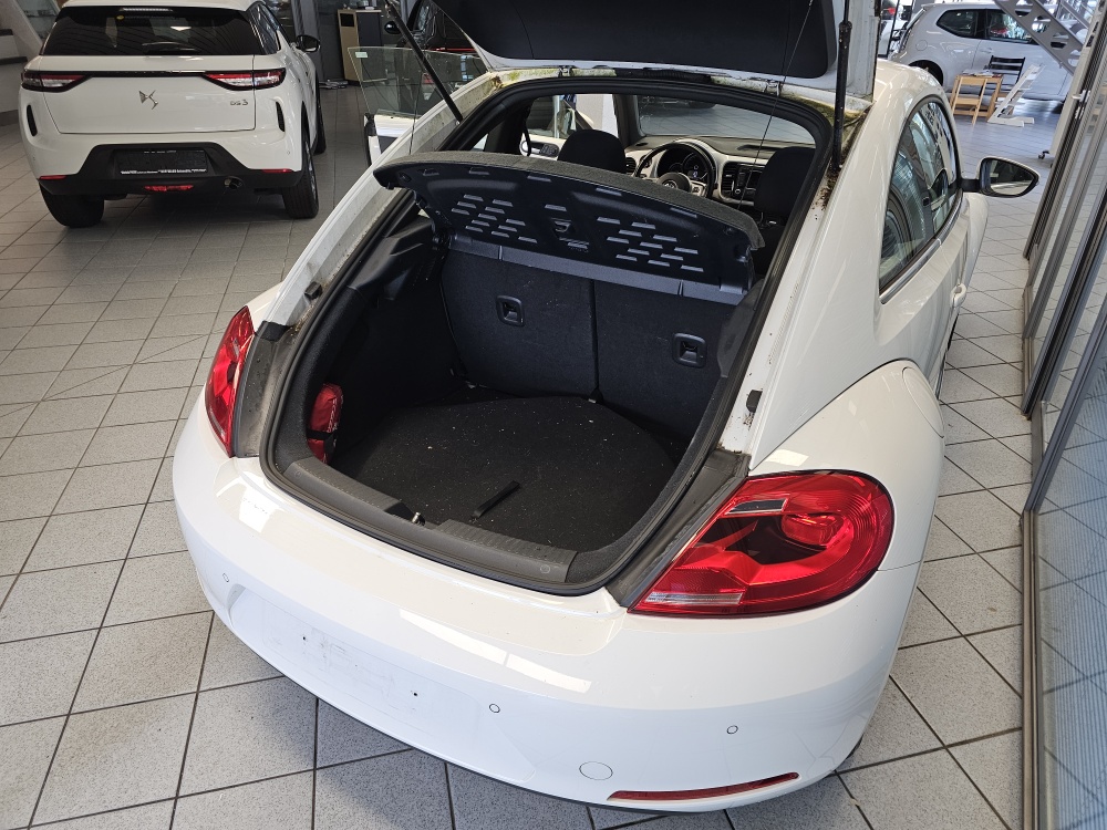 VW New Beetle  bei Hoffmann Automobile in Wolfsburg kaufen und sofort mitnehmen - Bild 4