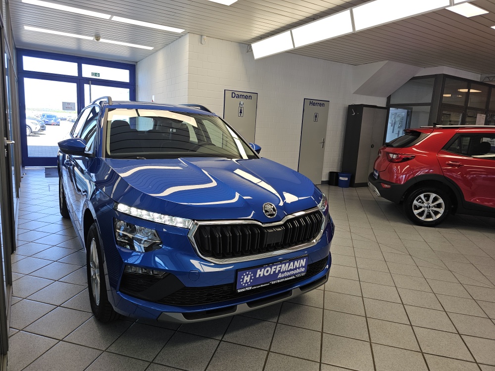 Skoda Kamiq bei Hoffmann Automobile in Wolfsburg kaufen und sofort mitnehmen - Bild 29