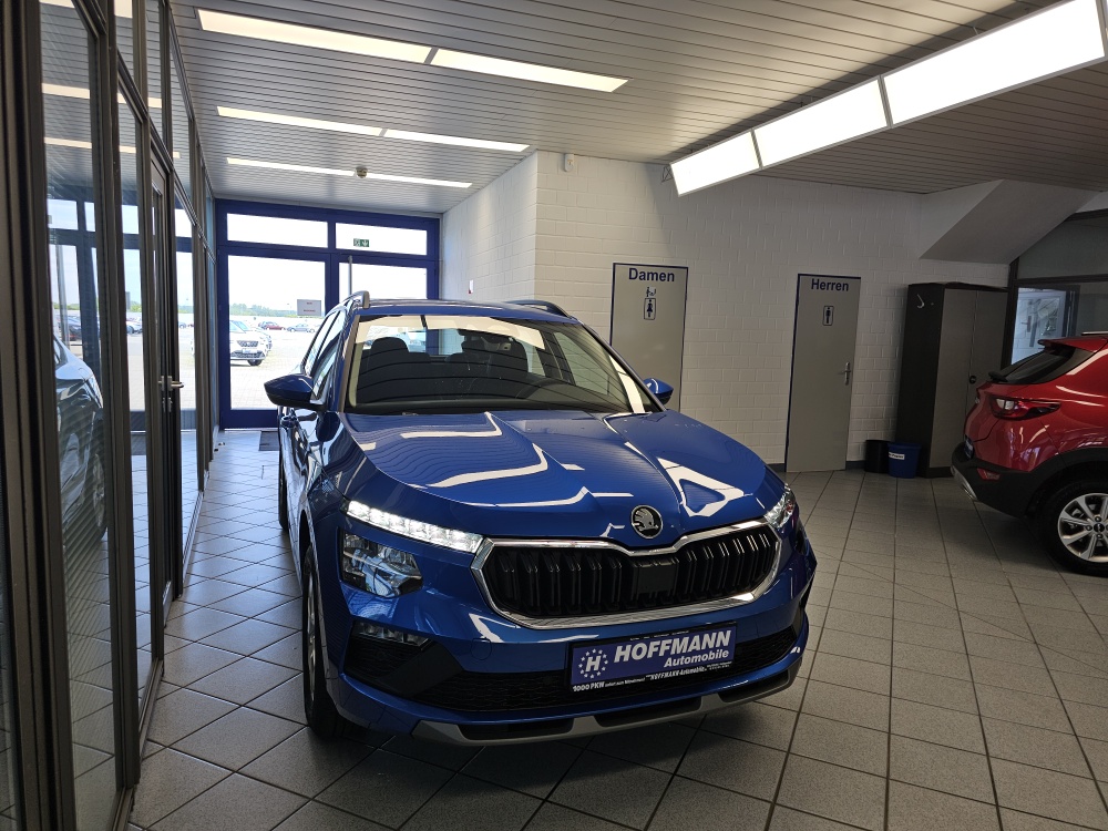 Skoda Kamiq bei Hoffmann Automobile in Wolfsburg kaufen und sofort mitnehmen - Bild 30