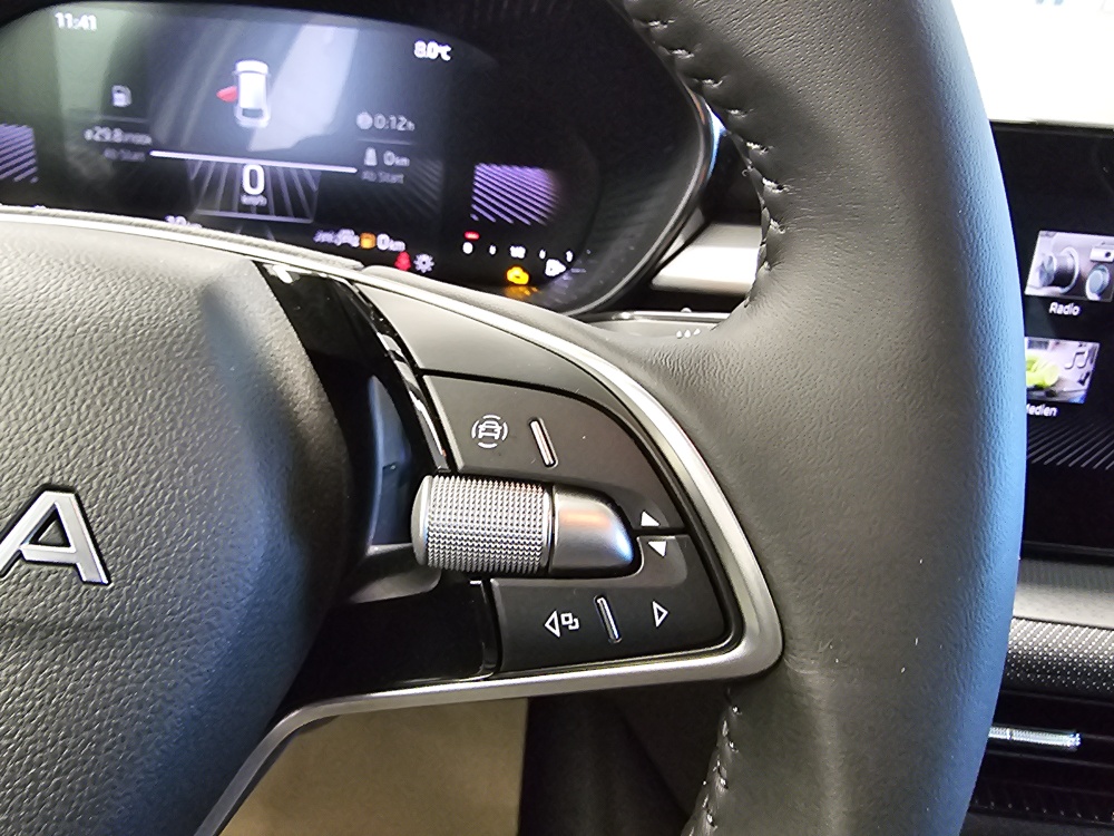 Skoda Fabia  bei Hoffmann Automobile in Wolfsburg kaufen und sofort mitnehmen - Bild 15