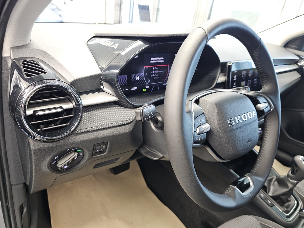 Skoda Fabia  bei Hoffmann Automobile in Wolfsburg kaufen und sofort mitnehmen - Bild 19