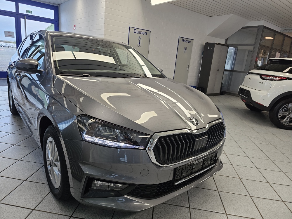 Skoda Fabia  bei Hoffmann Automobile in Wolfsburg kaufen und sofort mitnehmen - Bild 26