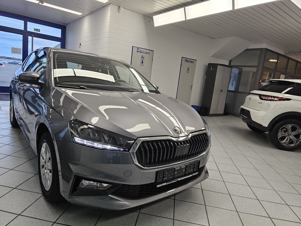 Skoda Fabia  bei Hoffmann Automobile in Wolfsburg kaufen und sofort mitnehmen - Bild 25