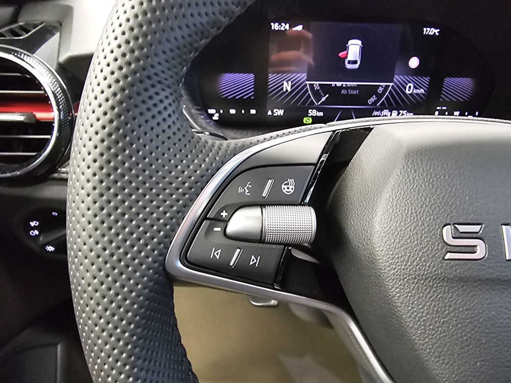 Skoda Fabia  bei Hoffmann Automobile in Wolfsburg kaufen und sofort mitnehmen - Bild 19