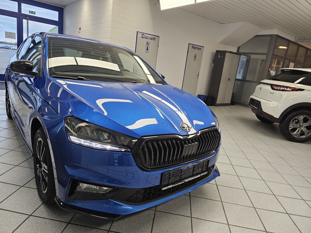 Skoda Fabia  bei Hoffmann Automobile in Wolfsburg kaufen und sofort mitnehmen - Bild 29