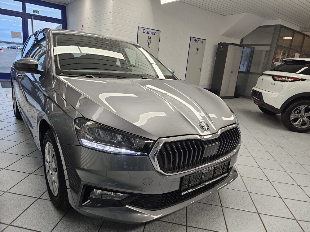 Skoda Fabia  bei Hoffmann Automobile in Wolfsburg kaufen und sofort mitnehmen - Bild 23