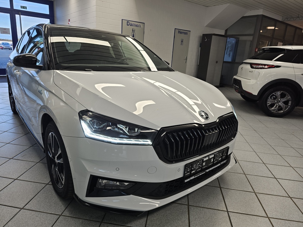 Skoda Fabia  bei Hoffmann Automobile in Wolfsburg kaufen und sofort mitnehmen - Bild 29