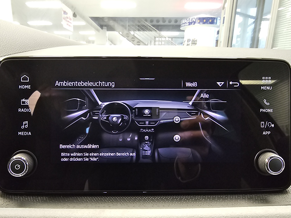 Skoda Scala  bei Hoffmann Automobile in Wolfsburg kaufen und sofort mitnehmen - Bild 12