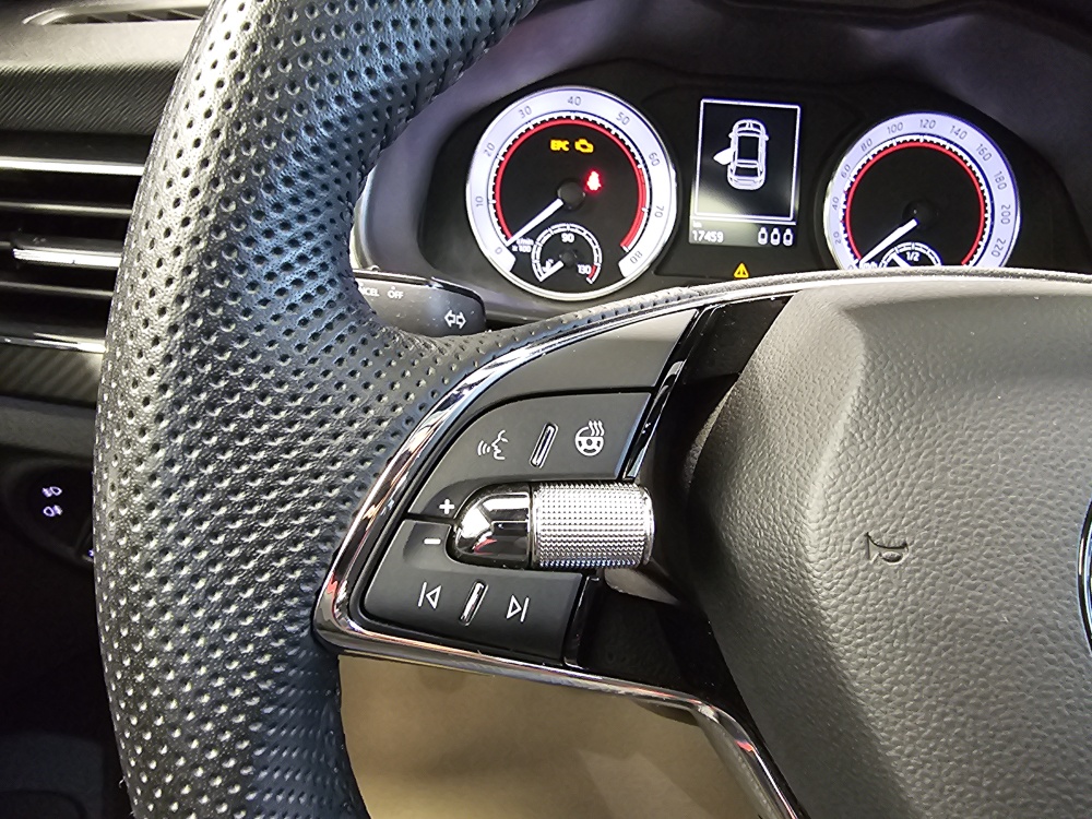 Skoda Scala  bei Hoffmann Automobile in Wolfsburg kaufen und sofort mitnehmen - Bild 21