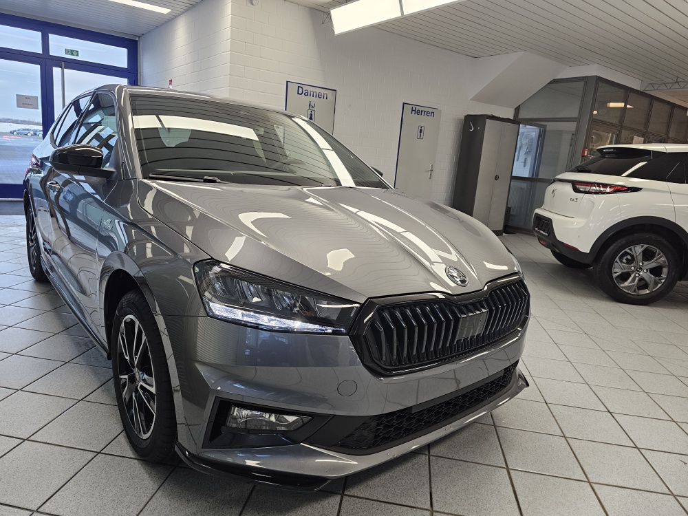 Skoda Fabia  bei Hoffmann Automobile in Wolfsburg kaufen und sofort mitnehmen - Bild 27