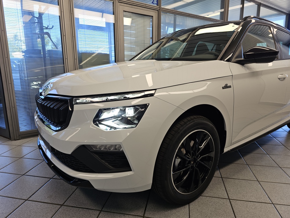 Skoda Kamiq bei Hoffmann Automobile in Wolfsburg kaufen und sofort mitnehmen - Bild 24
