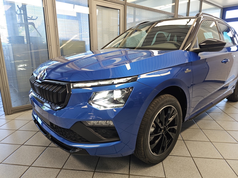 Skoda Kamiq bei Hoffmann Automobile in Wolfsburg kaufen und sofort mitnehmen - Bild 25