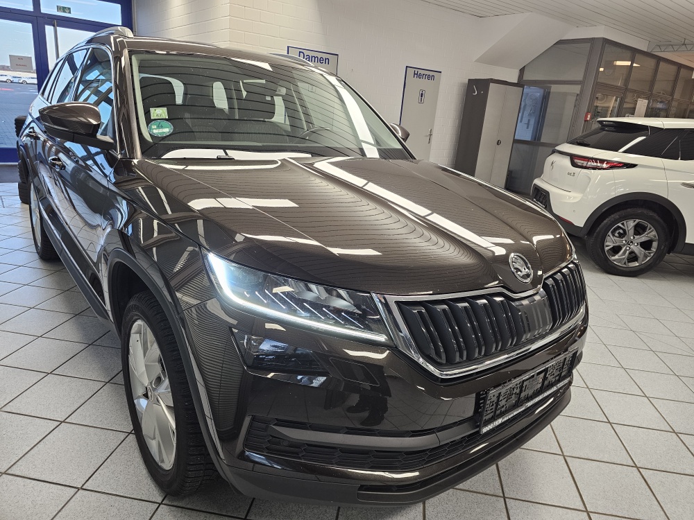 Skoda Kodiaq  bei Hoffmann Automobile in Wolfsburg kaufen und sofort mitnehmen - Bild 31
