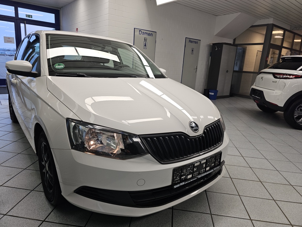 Skoda Fabia  bei Hoffmann Automobile in Wolfsburg kaufen und sofort mitnehmen - Bild 20