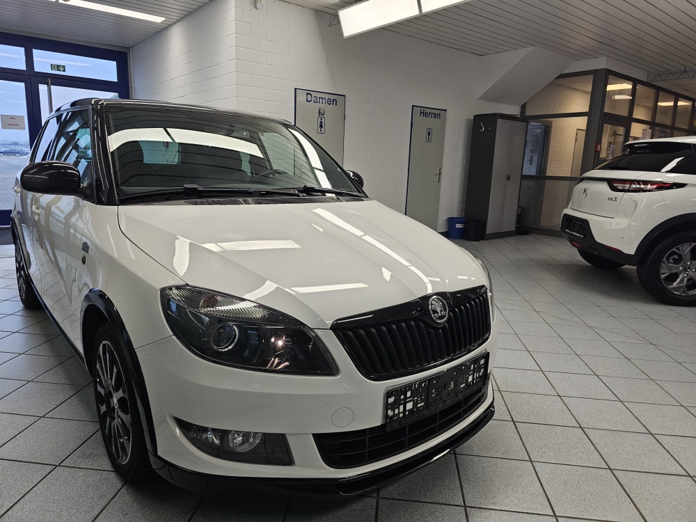 Skoda Fabia  bei Hoffmann Automobile in Wolfsburg kaufen und sofort mitnehmen - Bild 16