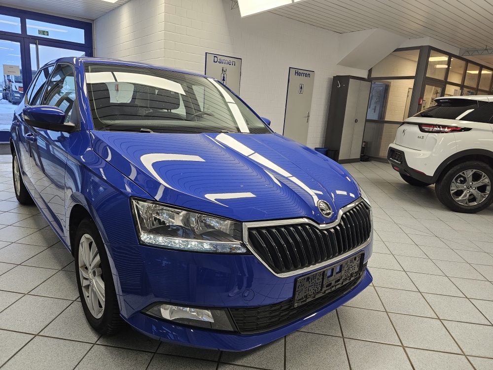 Skoda Fabia  bei Hoffmann Automobile in Wolfsburg kaufen und sofort mitnehmen - Bild 22