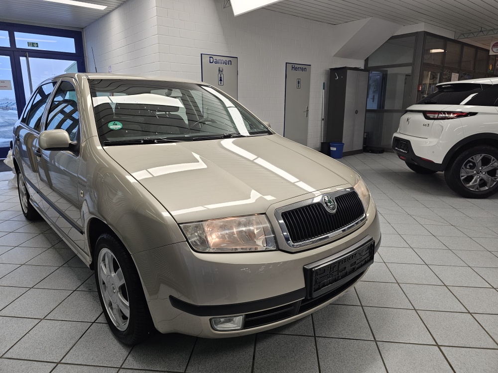 Skoda Fabia  bei Hoffmann Automobile in Wolfsburg kaufen und sofort mitnehmen - Bild 18