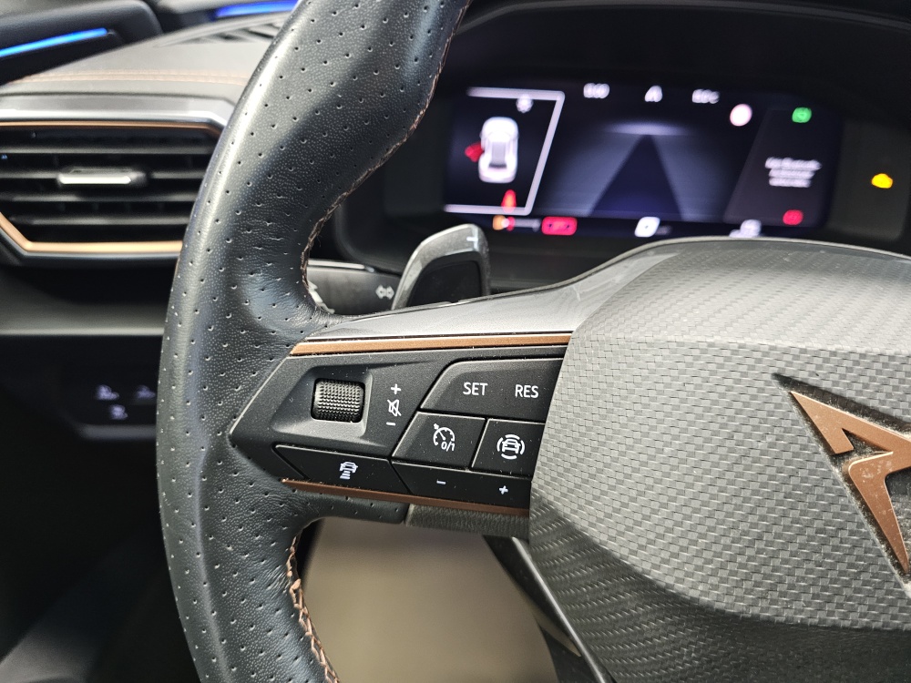 Cupra Formentor bei Hoffmann Automobile in Wolfsburg kaufen und sofort mitnehmen - Bild 22