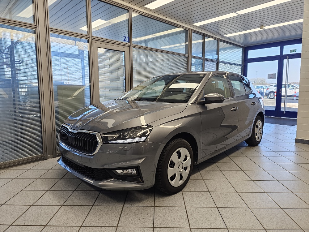Skoda Fabia Active für nur 13.700,- € bei Hoffmann Automobile in Wolfsburg kaufen und sofort mitnehmen