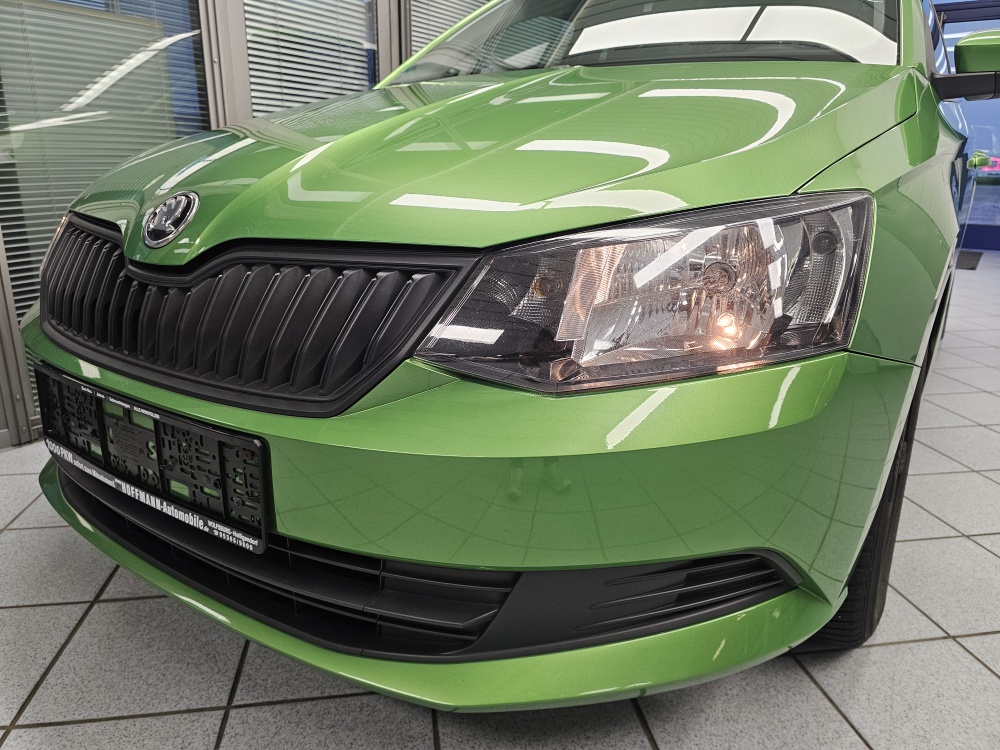 Skoda Fabia  bei Hoffmann Automobile in Wolfsburg kaufen und sofort mitnehmen - Bild 19