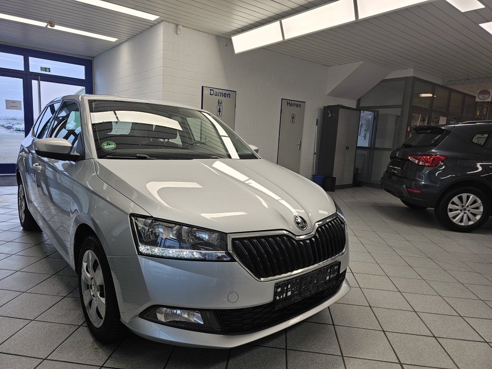 Skoda Fabia bei Hoffmann Automobile in Wolfsburg kaufen und sofort mitnehmen - Bild 17
