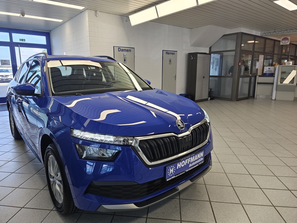 Skoda Kamiq bei Hoffmann Automobile in Wolfsburg kaufen und sofort mitnehmen - Bild 25