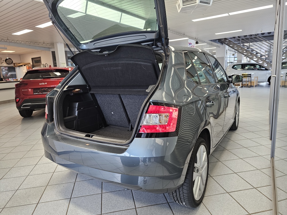 Skoda Fabia bei Hoffmann Automobile in Wolfsburg kaufen und sofort mitnehmen - Bild 2